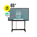 3Panel 65" (v. Samsung WA65C) se zaškolením formou webináře